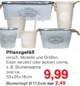 Jawoll Pflanzgefäß Angebot