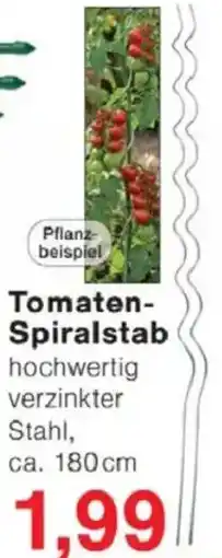Jawoll Tomaten Spiralstab Angebot