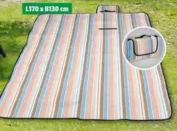 Hagebau Strand-Picknickdecke Angebot