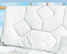 Ostermann Künsemüller Sommerbett Easy Dream Angebot