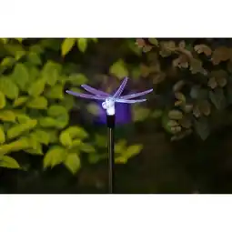 toom Baumarkt Toom Solar-Stab Libelle Angebot