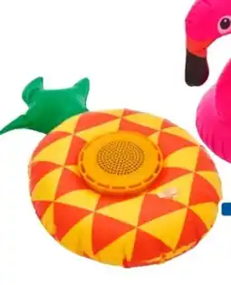 Rossmann Rossmann Ideenwelt Schwimmende Bluetooth-Box Angebot