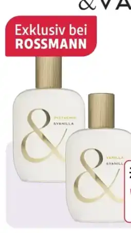 Rossmann Vanilla Coconut EdP Angebot