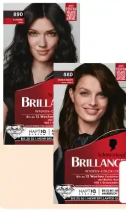 Rossmann Schwarzkopf Brillance Coloration Angebot