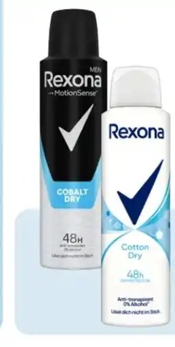 Rossmann Rexona Deospray Angebot