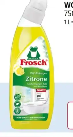 Rossmann Frosch Reiniger Angebot