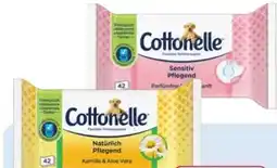 Rossmann Cottonelle Feuchtes Toilettenpapier Angebot