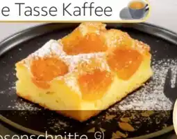 XXXLutz XXXL Aprikosenschnitte Angebot