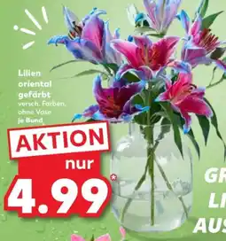 Kaufland Lilien oriental gefärbt Angebot