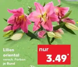 Kaufland Lilien oriental Angebot
