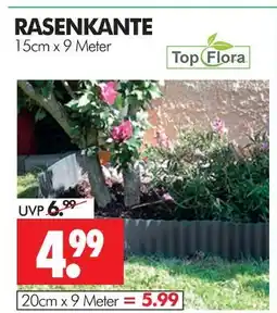Wreesmann Topflora rasenkante Angebot