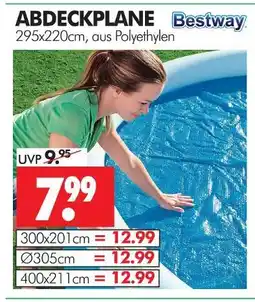 Wreesmann Bestway abdeckplane Angebot