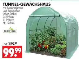Wreesmann Top flora tunnel-gewächshaus Angebot