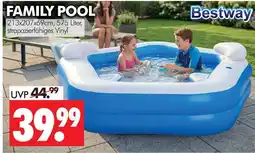 Wreesmann Bestway family pool Angebot