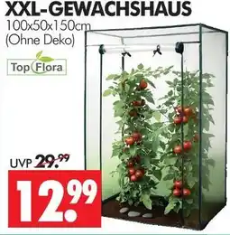 Wreesmann Top flora xxl-gewächshaus Angebot