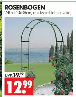 Wreesmann Rosenbogen Angebot