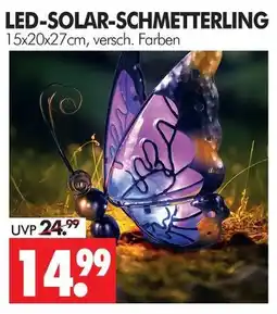 Wreesmann Led-solar-schmetterling Angebot