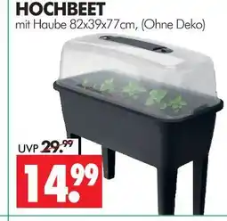 Wreesmann Hochbeet Angebot