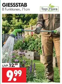 Wreesmann Top flora giessstab Angebot