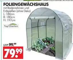 Wreesmann Top garden foliengewächshaus Angebot