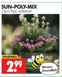 Wreesmann Sun-poly-mix Angebot