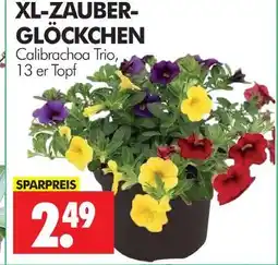 Wreesmann Xl-zauber-glockchen Angebot