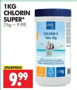 Wreesmann Wellsan chlorin s tabs Angebot