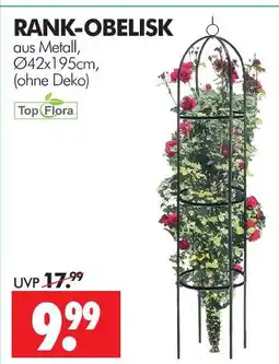 Wreesmann Top flora rank-obelisk Angebot