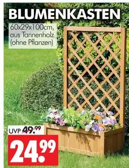 Wreesmann Blumenkasten Angebot