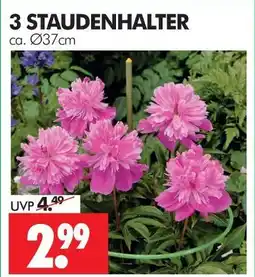 Wreesmann Staudenhalter Angebot