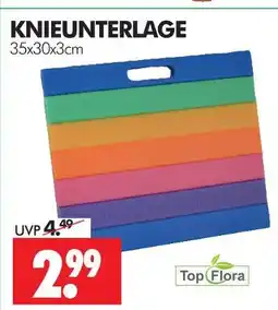 Wreesmann Top flora knieunterlage Angebot