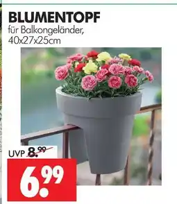 Wreesmann Blumentopf Angebot
