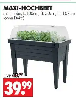 Wreesmann Maxi-hochbeet Angebot