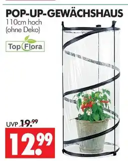 Wreesmann Topflora pop-up-gewächshaus Angebot