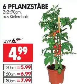 Wreesmann Pflanzstäbe Angebot