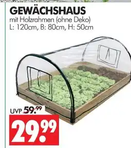 Wreesmann Gewächshaus Angebot