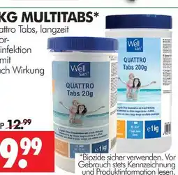 Wreesmann Well san quattro tabs Angebot
