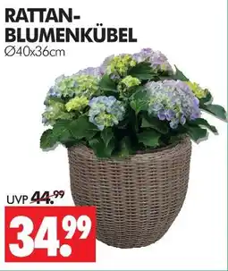 Wreesmann Rattan-blumenkübel Angebot