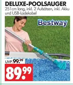 Wreesmann Bestway deluxe-poolsauger Angebot