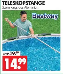 Wreesmann Bestway teleskopstange Angebot