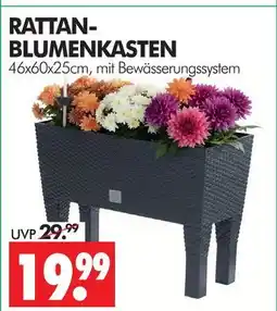 Wreesmann Rattan-blumenkasten Angebot
