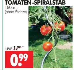 Wreesmann Tomaten-spiralstab Angebot