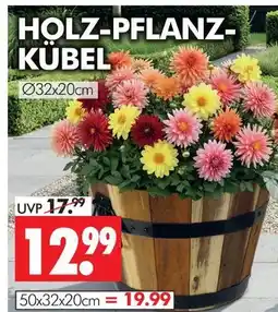 Wreesmann Holz-pflanz-kübel Angebot