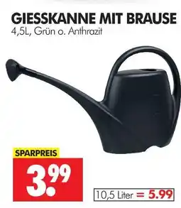 Wreesmann Giesskanne mit brause Angebot