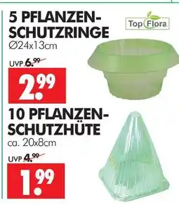 Wreesmann Topflora pflanzenschutzringe Angebot