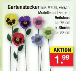 Zimmermann Gartenstecker veilchen Angebot