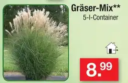 Zimmermann Gräser-mix Angebot