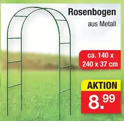Zimmermann Rosenbogen Angebot