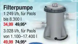 Zimmermann Filterpumpe Angebot