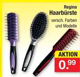 Zimmermann Regina haarbürste Angebot